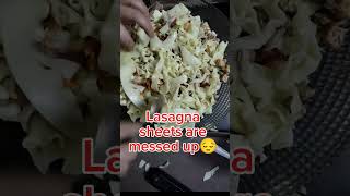 lasagna alfredo italy innovative saucy lasagna lionfield [upl. by Bernt]