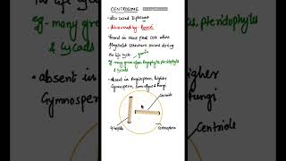 Centrosome class 11  Centrosome in Hindi shorts centosome [upl. by Oilasor]