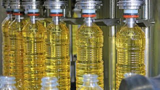 How Sunflower Oil Is Made  Amazing SUNFLOWER OIL Factory [upl. by Hsetirp15]