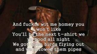 Birdman amp Lil Wayne  Like Father Like Son W LYRICS [upl. by Jump]