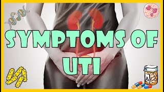 Urinary Tract Infection UTI Symptoms Causes amp Risk Factors [upl. by Antebi]