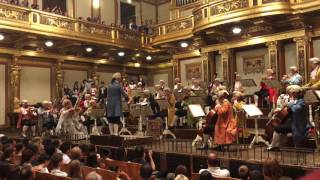 Mozart Orchestra Vienna Opera [upl. by Yrreiht]