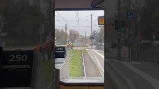 Führerstandsmitfahrt mit der Straßenbahn in Karlsruhe train [upl. by Syxela348]