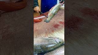 Fastest way to remove guts from FISH TROUT [upl. by Donough]