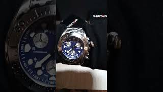 Sector 600 ChronoDive Diver 200mt Watch for men whith steel braceletWatch on the wristVideo asmr [upl. by Tilagram885]