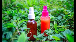 Natural Bug Spray That Works NonToxic Deet Free DIY [upl. by Kciremed]