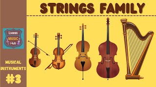 STRINGS FAMILY  INSTRUMENTS OF THE ORCHESTRA  LESSON 3  LEARNING MUSIC HUB  ORCHESTRA [upl. by Aliuqahs]