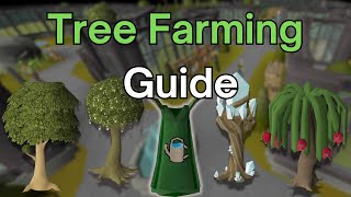 Tree Farming Run Guide  199 Farming OSRS [upl. by Ailemor285]