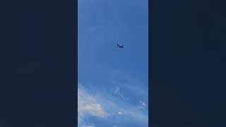 Airplane 🛬 trending rosespain shorts viralvideo shortvideo shorts fyp foryou [upl. by Noisla722]