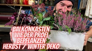 Balkonkasten mit Pflanzen für Herbst Winter selber bepflanzen  Anleitung vom Profi für deine Deko [upl. by Nosae]