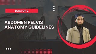 Abdomen Pelvis Anatomy Guidelines  Doctor Z [upl. by Bille]