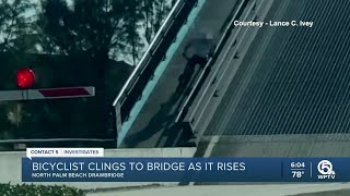 Bicyclist clings to rising North Palm Beach drawbridge [upl. by Auqenet829]