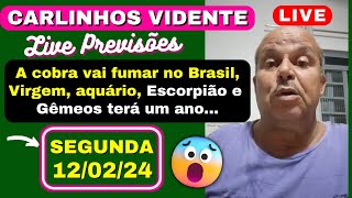 CARLINHOS VIDENTE PREVISÕES SEGUNDA 120224 A COBRA VAI FUMAR NO BRASIL 🇧🇷 🔥 [upl. by Llerrit]