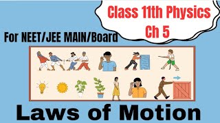 Newtons Law of Motion Class 11 PYQS  Momentum  Class 11 [upl. by Yleek]