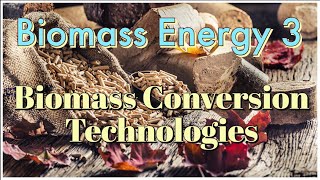 Biomass energy 3 Biomass Conversion Technologies [upl. by Breh499]