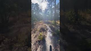 Biking in Wharton state forest [upl. by Ttelrats]