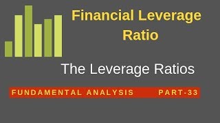 What is Financial Leverage Ratio in Hindi  The Leverage Ratios [upl. by Renaldo284]