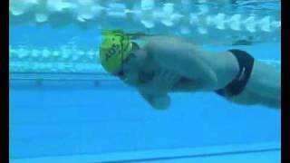 How To Swim Faster Freestyle [upl. by Noled]