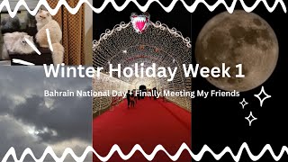 Winter Holiday Week 1 vlog  bahrain national day  finally meeting my friends [upl. by Aihsot]