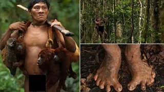 Historical Fact The Huaorani tribe also known as Waorani or Waos wildlife tribe research [upl. by Fairweather]