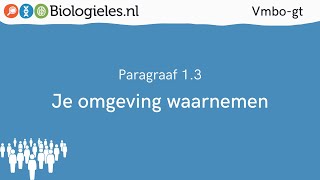 Vmbogt 3  De mens  3 Je omgeving waarnemen  Biologielesnl [upl. by Avik495]