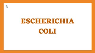 Escherichia coli Microbiology Lecture in Detail  What Are the Symptoms of E coli Infection [upl. by Froma]