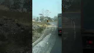 Nagpur to Itarasi Roadways  Roadways MP Betul Itarasi [upl. by Sartin]