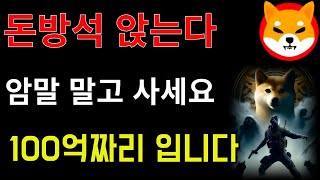 시바이누 코인  100억짜리 돈방석 앉게 생겼네요 그냥 암말마시고 가지고 계세요 시바이누전망 도지코인 비트코인 이더리움 코인전망 [upl. by Alliw]