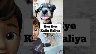 Miss You Kallu Kaliya 🥹  minivlog [upl. by Risan]