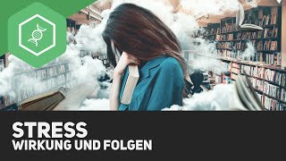 Stress  Wirkung und Folgen [upl. by Ahsiat]