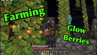 Minecraft Glow Berry and Glow Berries Farm [upl. by Nerek]