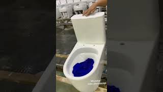 ceramic one piece toilet washcloth flush test leakage home quality material sanitarywares [upl. by Nazarius311]