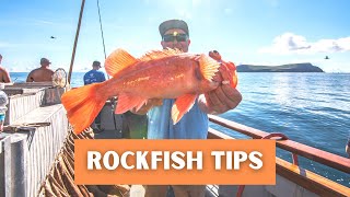 Rockfish Fishing Tips  Deep Sea Fishing in Southern California amp Orange County [upl. by Poyssick]