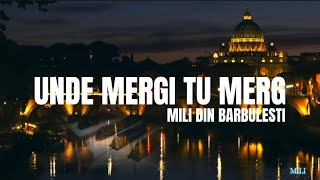 MILIDINBARBULESTI  UNDE MRGI TU MERG  Video Official [upl. by Jarib33]