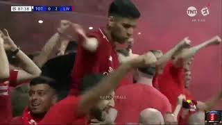 LATE GOAL of Divock Origi Liverpool v Tottenham at 87 ／ 201819 UCL final [upl. by O'Grady]