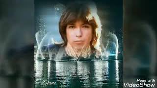 Daydreamer David Cassidy [upl. by Bloom]