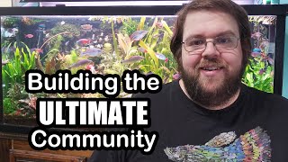 Building a Perfect Community Fish Tank from Disaster to Pure Joy 90 Gallon aquarium Tour [upl. by Ahtis]