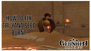 How to fix Triyana Seed Burnt Lost In The Sands  Continue Exploring Quest Genshin Impact [upl. by Harrie]