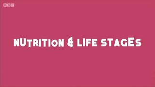 Nutrition and Life Stages [upl. by Harmony]