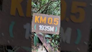 Km 05 Gunung Kinabaluborneo tourismmalaysia mountain kundasang nature [upl. by Ilram148]