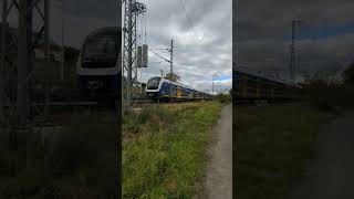 NordWestBahn RS 1 BR 440 in alter Farbgebung Richtung BremenFarge [upl. by Enomis]