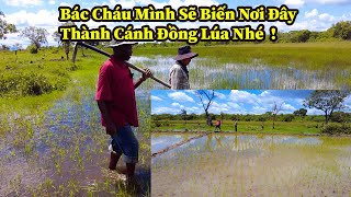 Quang Dũng Tình Hình Ô Ruộng Mới Cấy Của Bác Trưởng Bản Bamba 1 Thế Nào [upl. by Shere847]