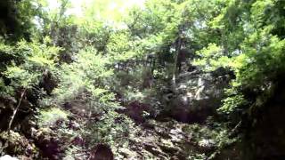 CRAZY CLIFF JUMP BINGHAM FALLS STOWE VERMONT [upl. by Ettesel]