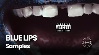 Every Sample From ScHoolboy Qs BLUE LIPS [upl. by Morgan371]