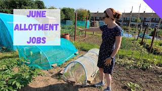 Allotment Jobs For June  Allotment Gardening For Beginners UK [upl. by Ermanno321]