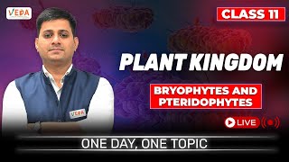 Bryophytes and Pteridophytes  Plant Kingdom  class 11  Biology  One Day One Topic [upl. by Sprung740]