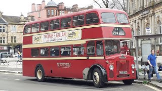 Preserved Western Scottish Leyland PD3 Titan AD1543 MSD 407 [upl. by Rebane]