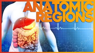 The Easiest Way to Learn Anatomical Regions  Corporis [upl. by Hernandez]