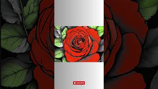 PROCREATE Color fill ROSEamp RAIN SOUNDS drawing art design satisfying relaxing [upl. by Millwater]