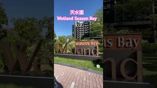 Wetland Seasons Bay 4k shorts [upl. by Essenaj]